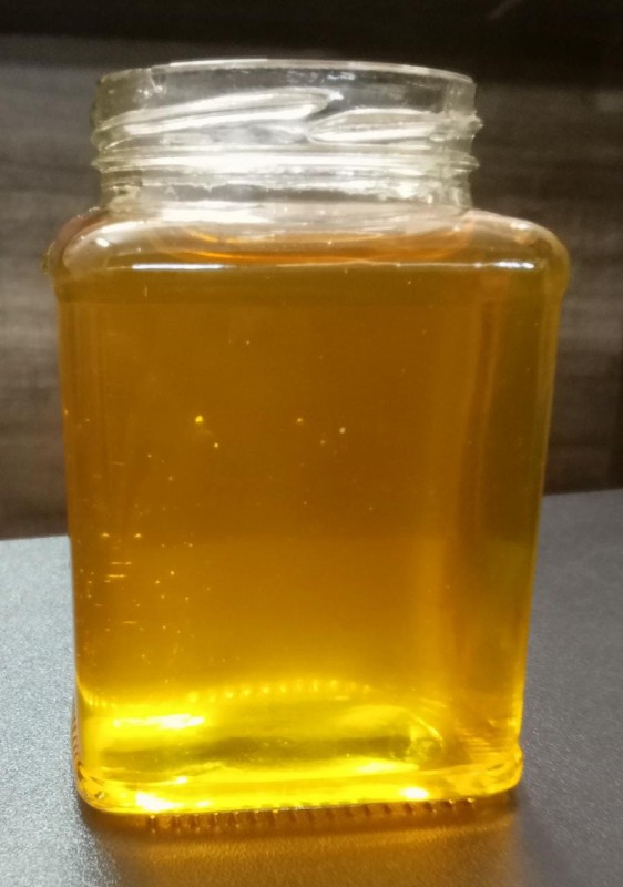 HONEY from India